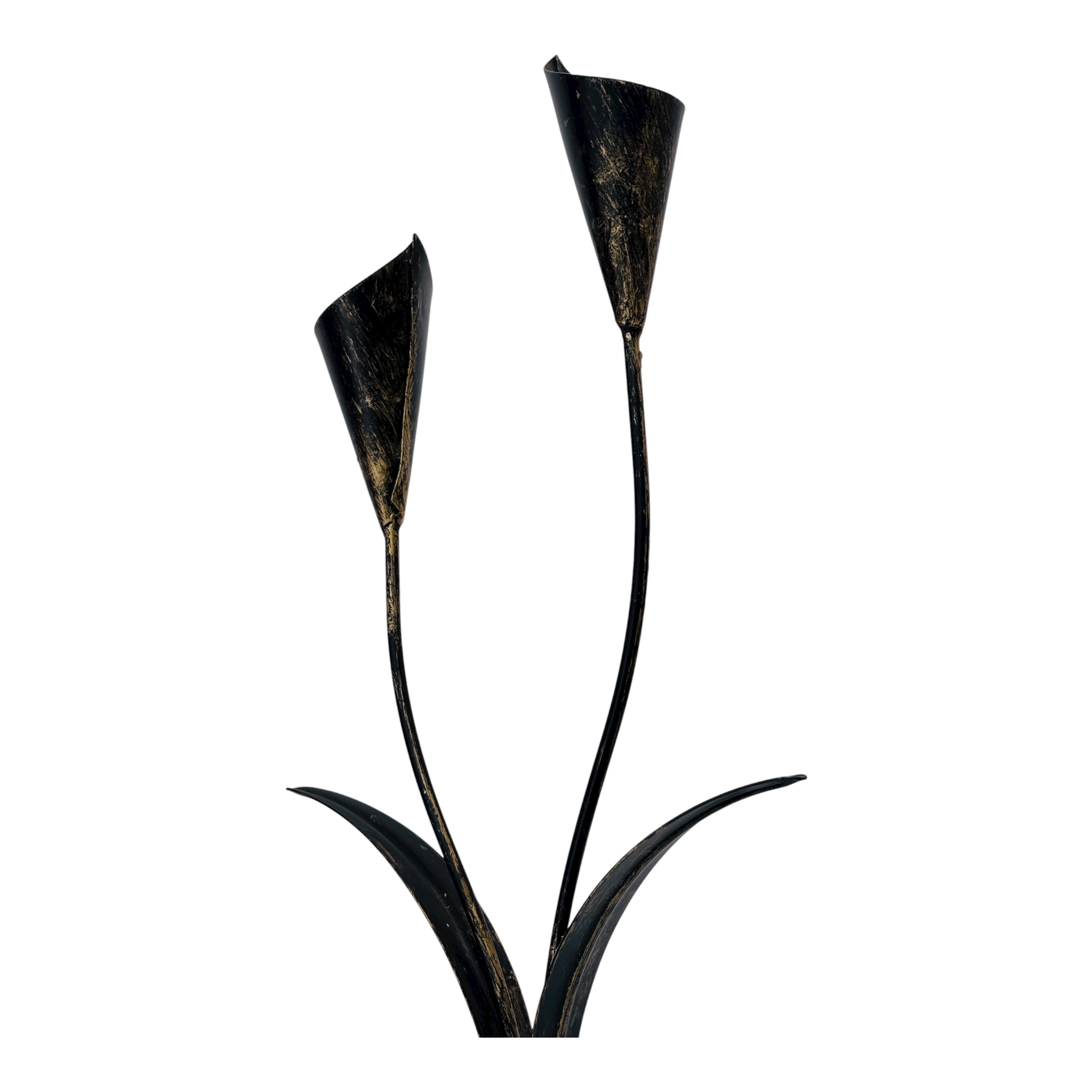 [object Object]fotka3